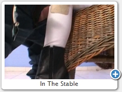 In The Stable
